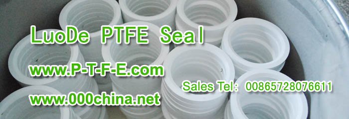 PTFE seal